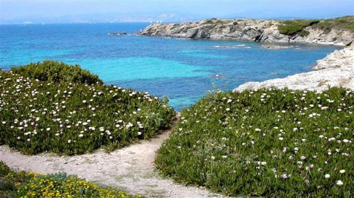 Villa Spacieuse, Climatisation, Piscine, Jardin Paysage, Proche Mer 생시르쉬르메르 외부 사진